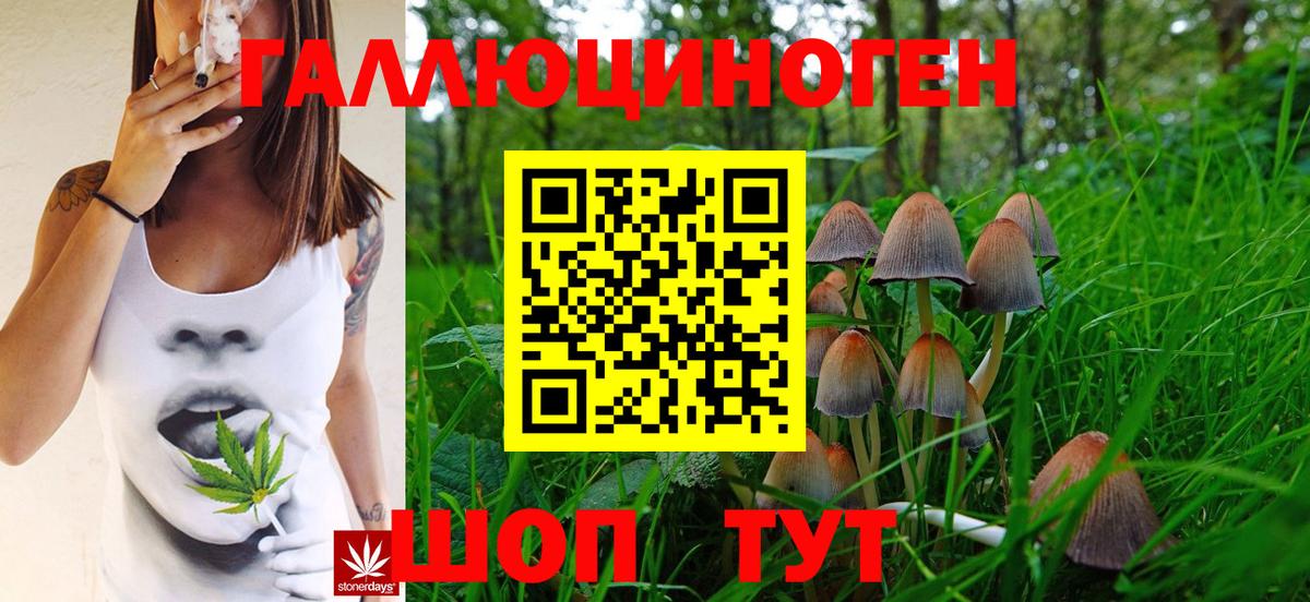 Галлюциногенные грибы Psilocybe  где продают   Алексин  Вход с VPN 